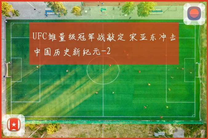 UFC雏量级冠军战敲定 宋亚东冲击中国历史新纪元